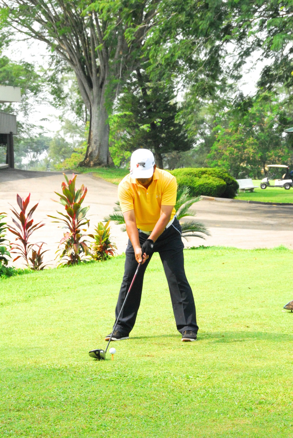 PRO15 157 GOLF DSC 0385.JPG